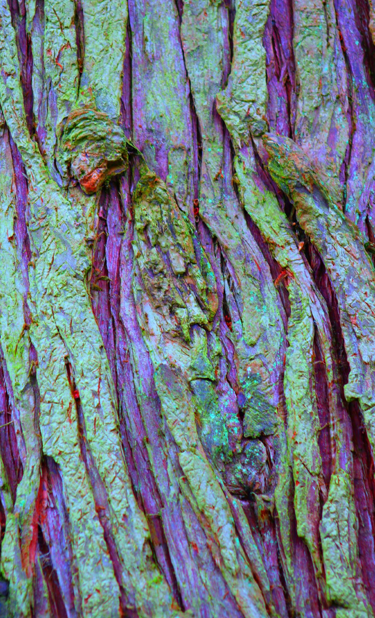 blue sky and white clouds over the sea