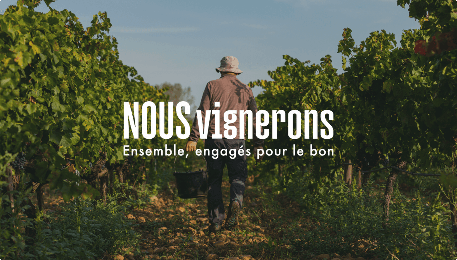 nousvignerons-ui