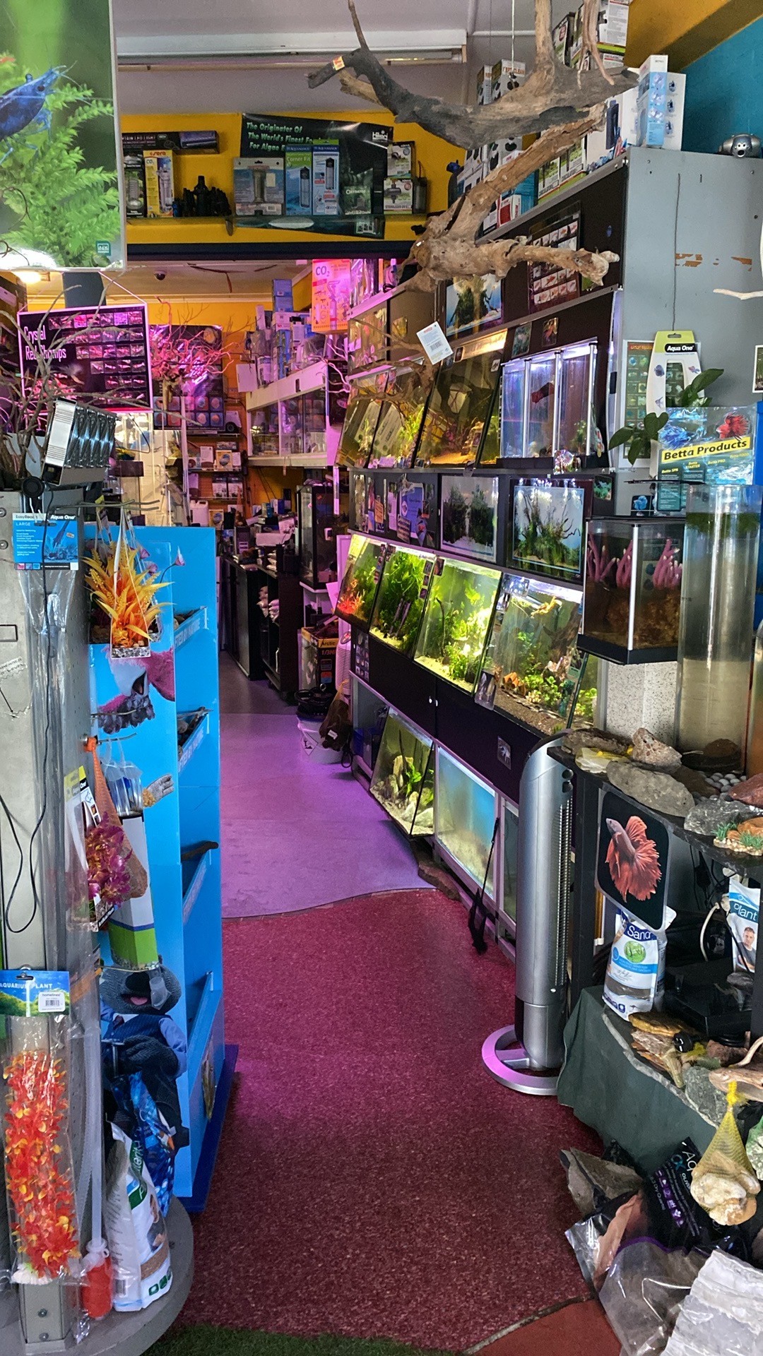 An image of inside the shop as you walk in