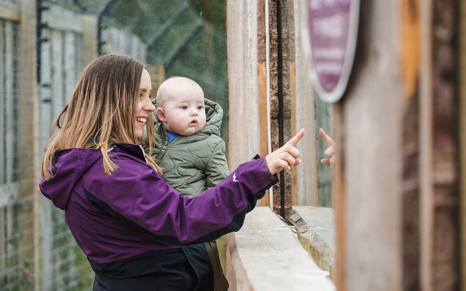 Visitors observing animals at Highland Wildlife Park, Scotland.