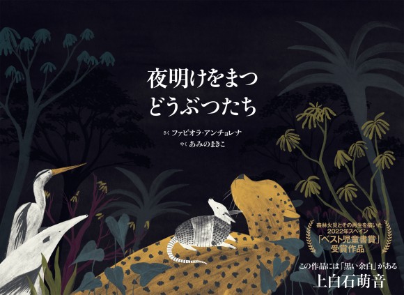 Fabiola Anchorena著『Esperando a amanecer』の表紙