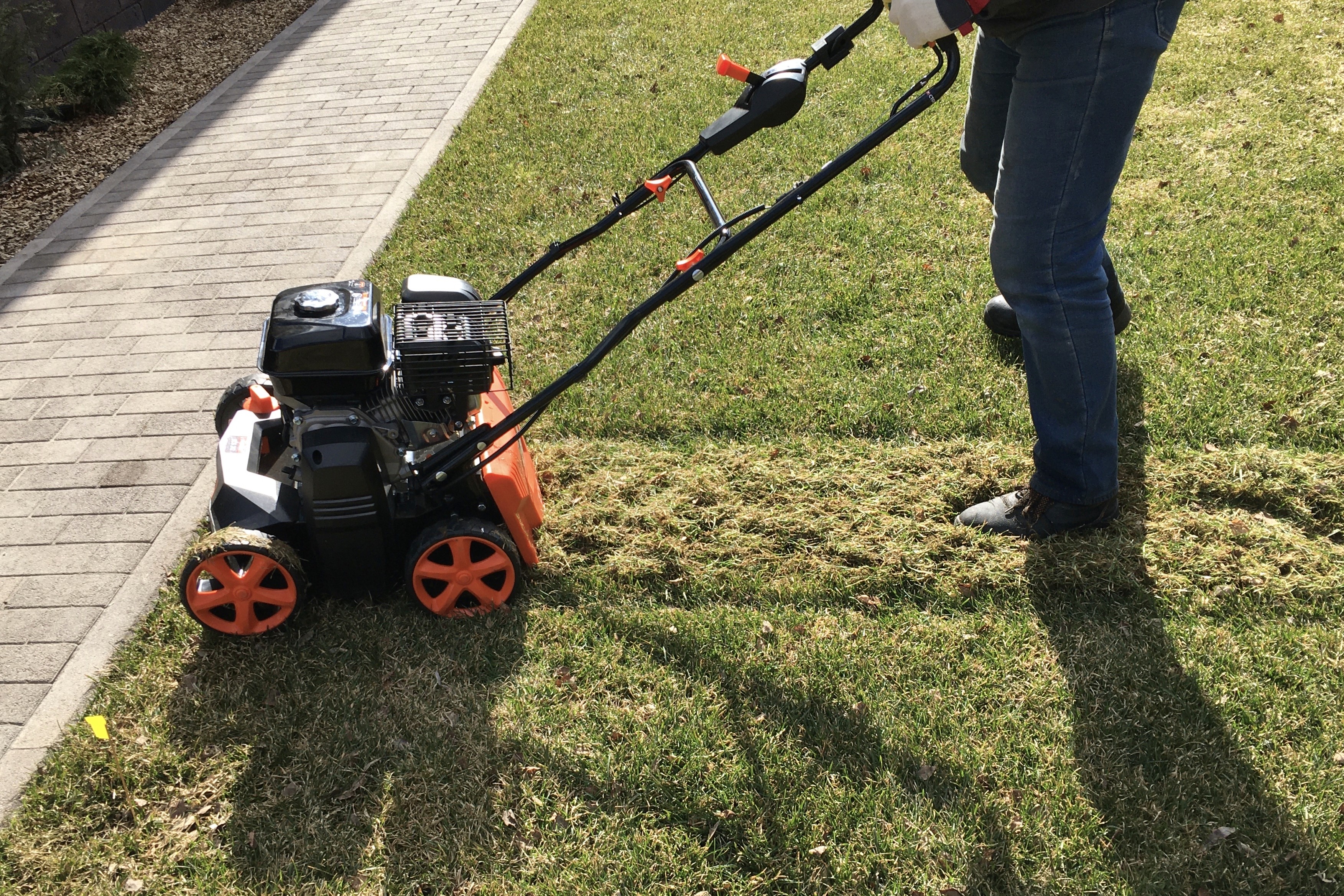 scarification pelouse