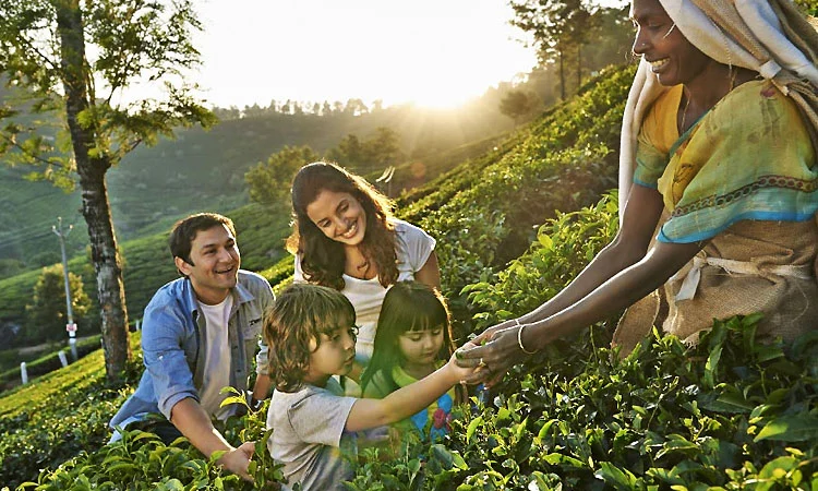 a decorated elephant walking down a busy street