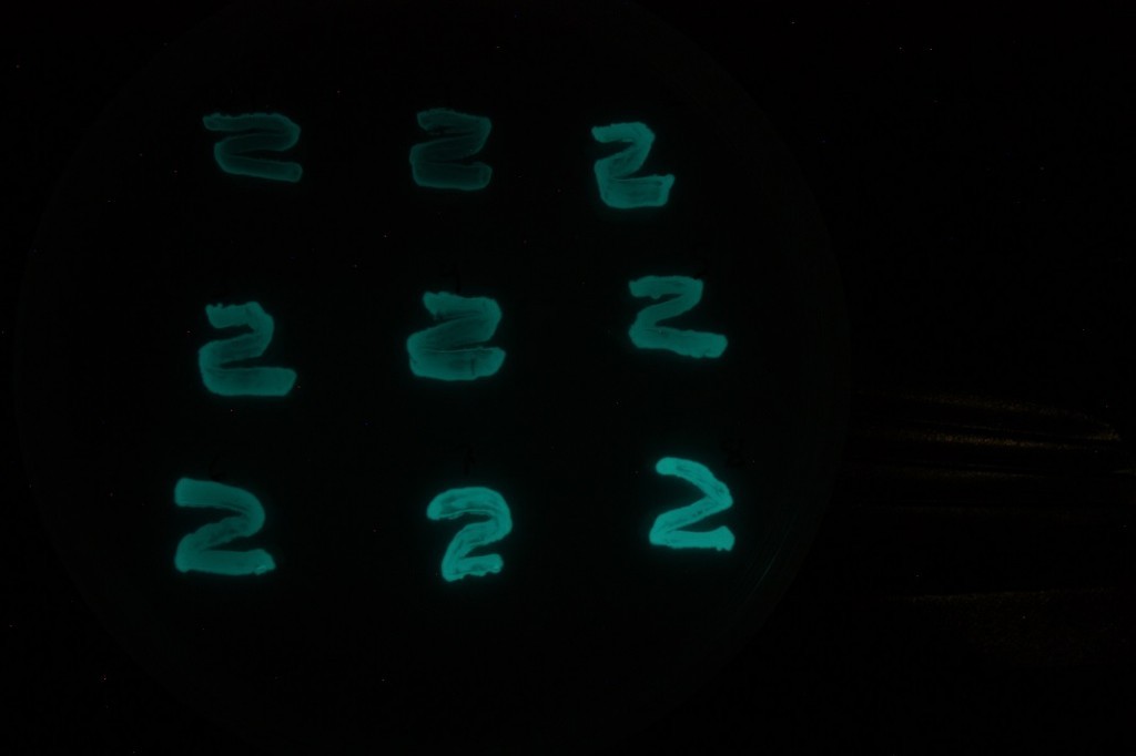 Data source: Glowing Plant.