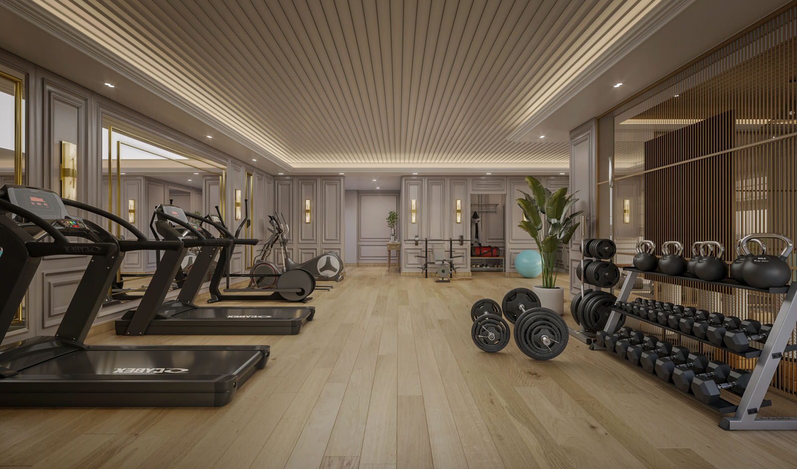 Gymnasium
