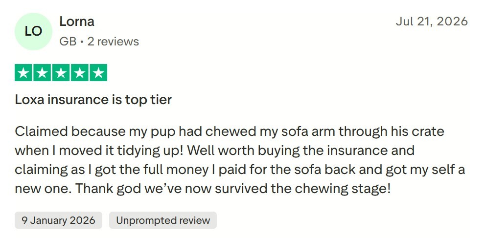 Loxa Trustpilot Review: "Loxa insurance is top tier. Claimed because my pup had chewed my sofa arm through his crate when I moved it tidying up! Well worth buying the insurance and claiming as I got the full money I paid for the sofa back and got my self a new one. Thank god we've now survived the chewing stage!"