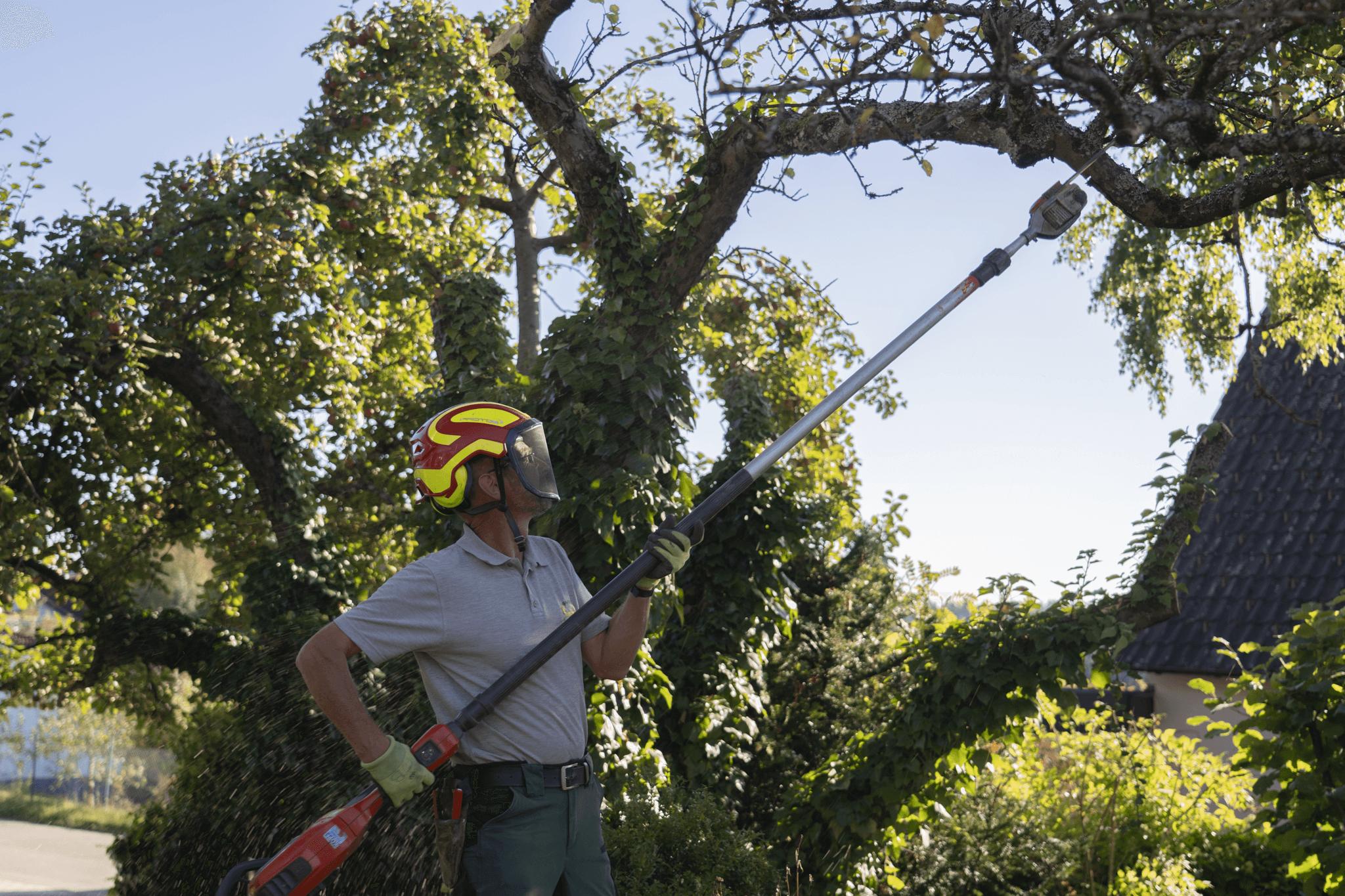Frieder Brandt schneidet Baum