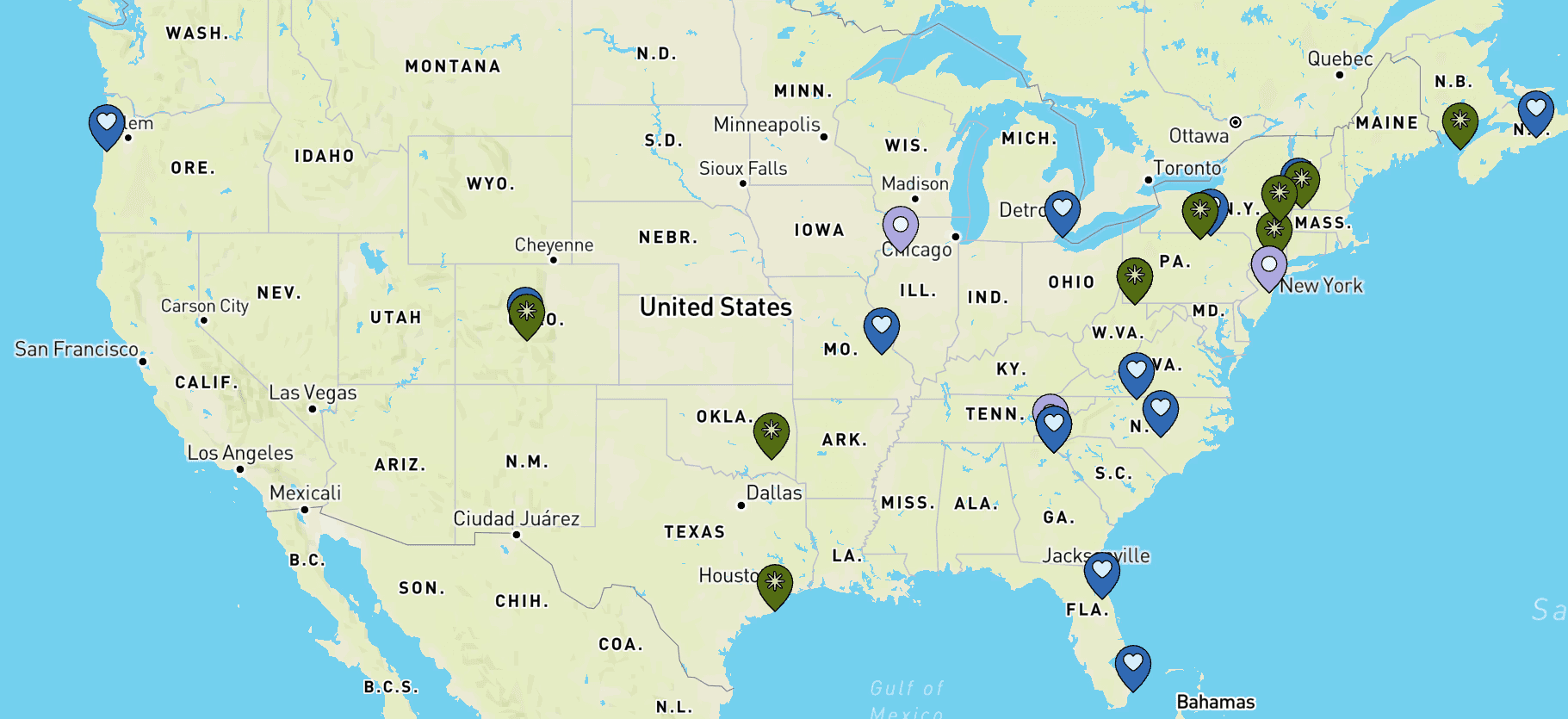 A grassy yard with a tree and fence in the background