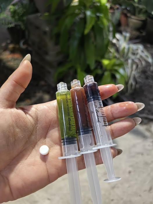 white and brown long coated small dog on green textile