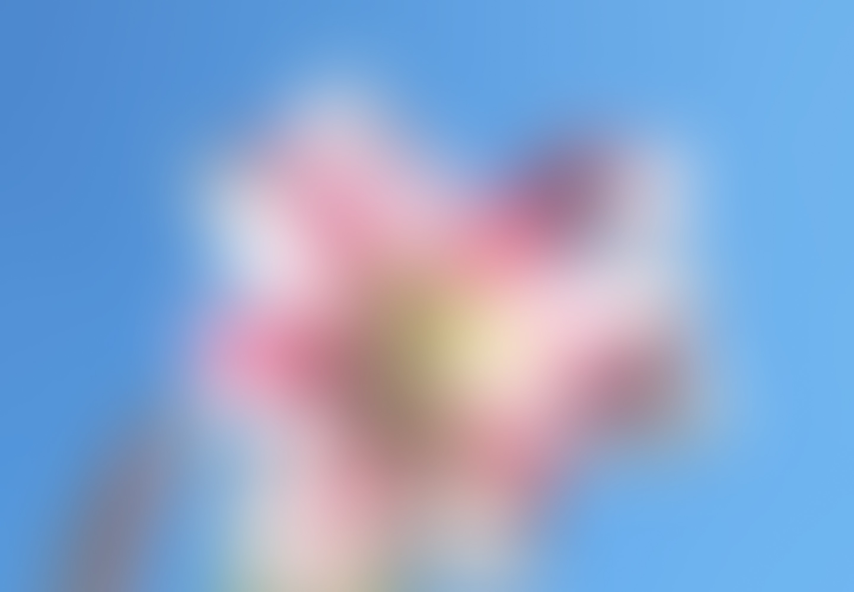 Background image of the section