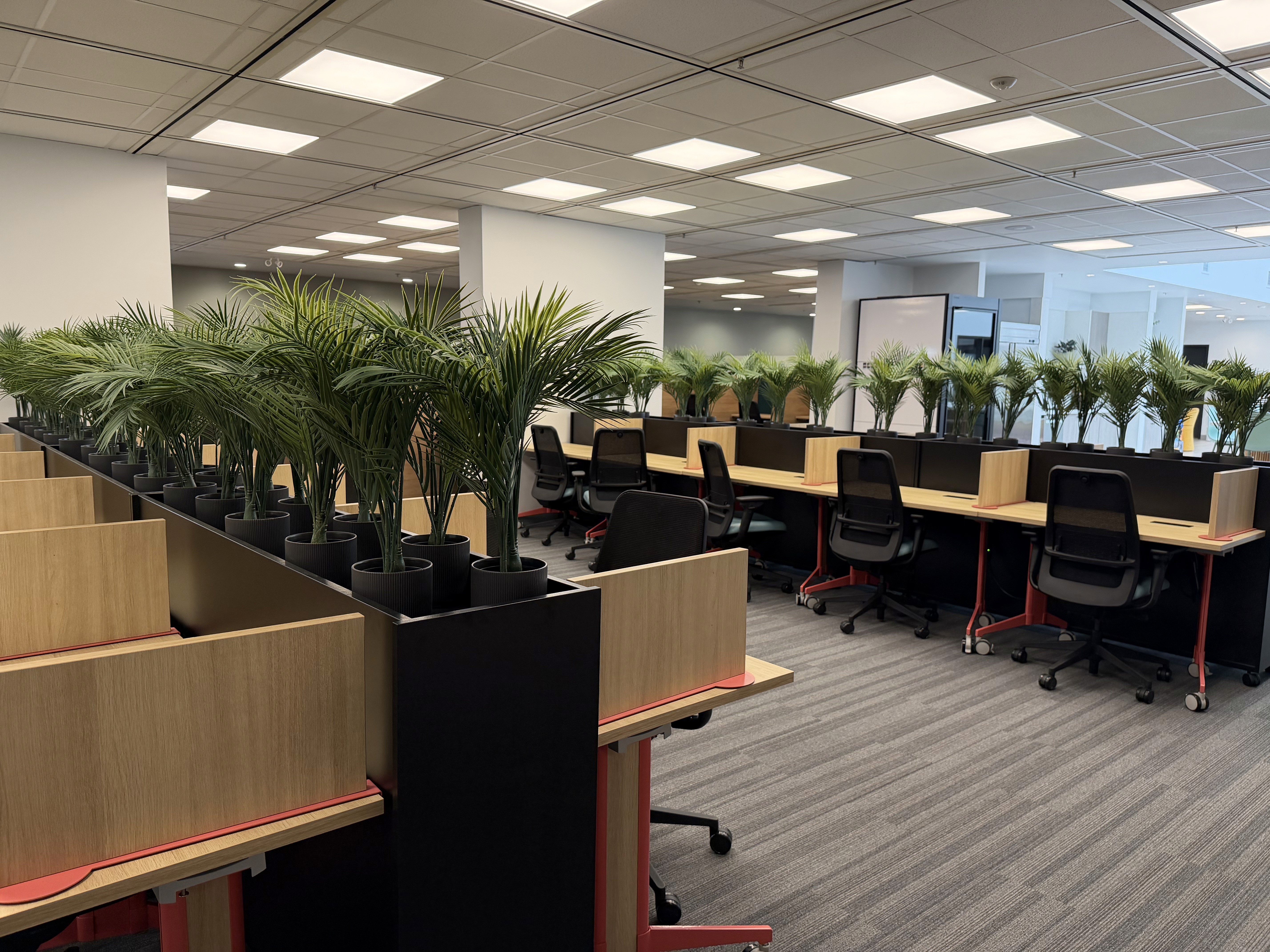 Modern desk setup with plants and large windows in a coworking space