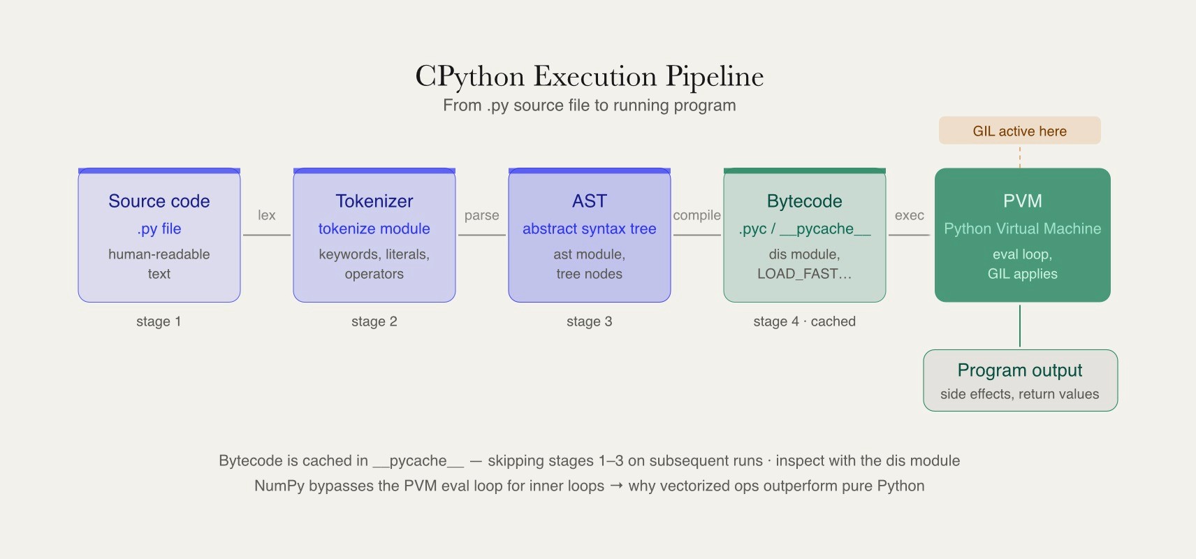 CPython execution pipeline with five stages — source code, tokenizer, AST, bytecode compilation, and PVM — showing where the GIL applies and why cached bytecode skips earlier stages.