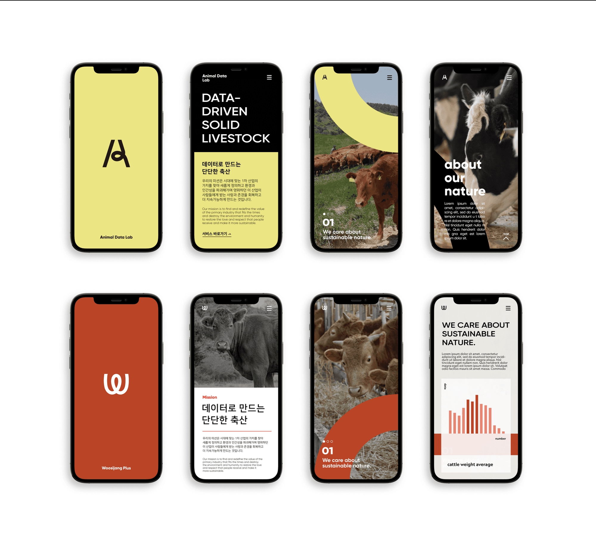 Responsive Image