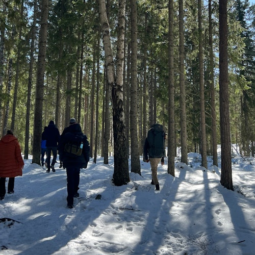 Snow and sun in the spring
