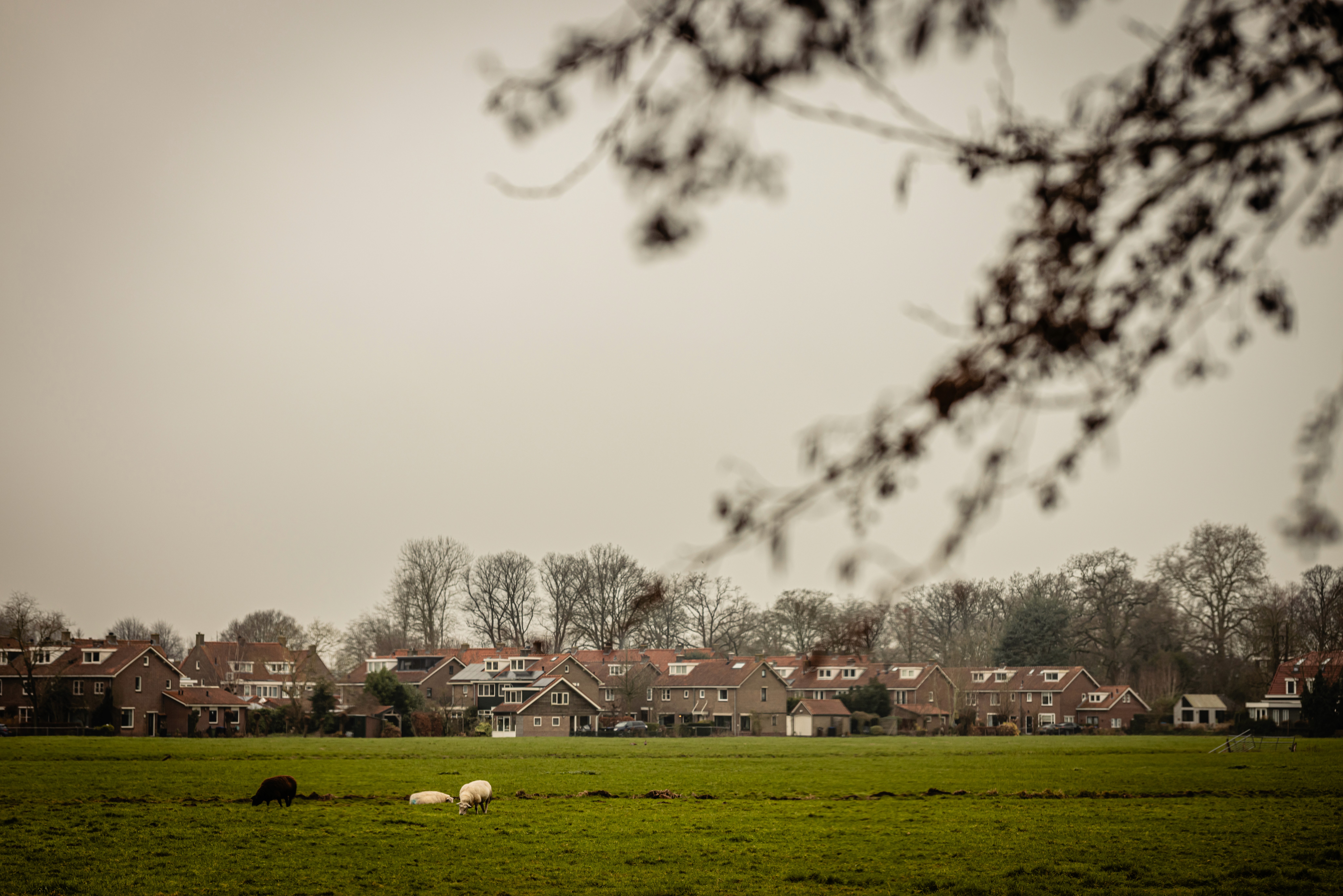 Minimalistic style bathroom with blue walls and marble floor