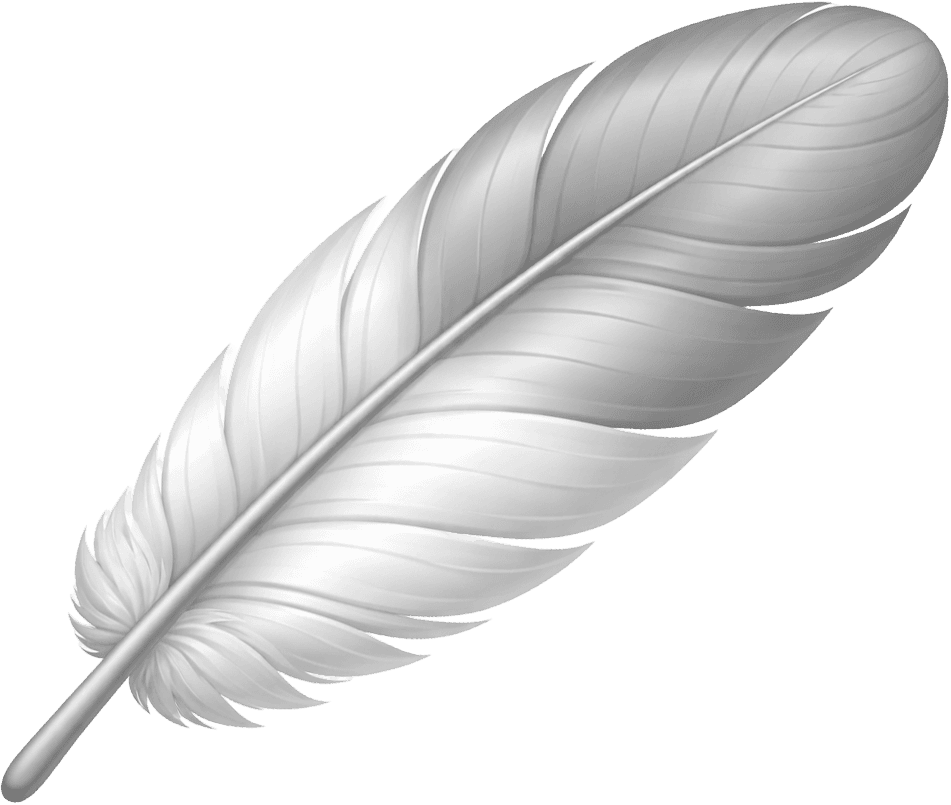 Feather icon