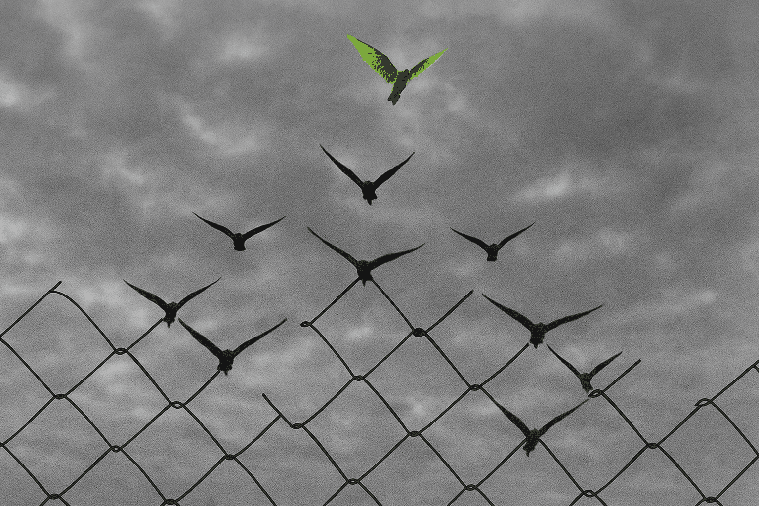 3 Ways We Take B2B Marketing from Average to Iconic