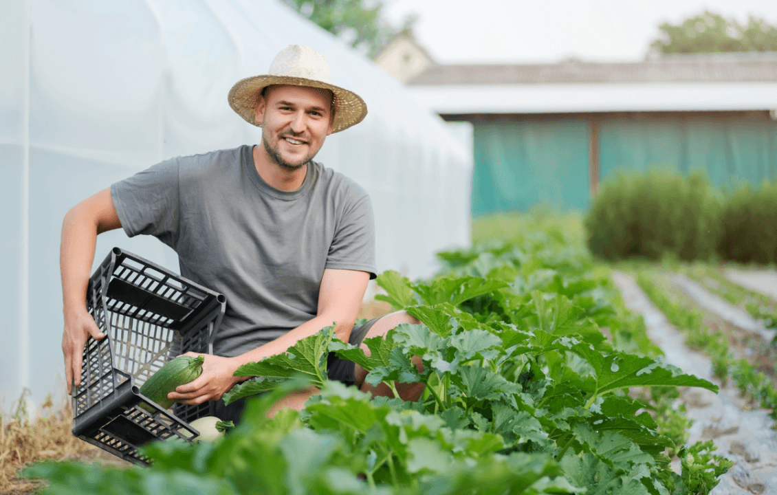 group of people using laptop computer