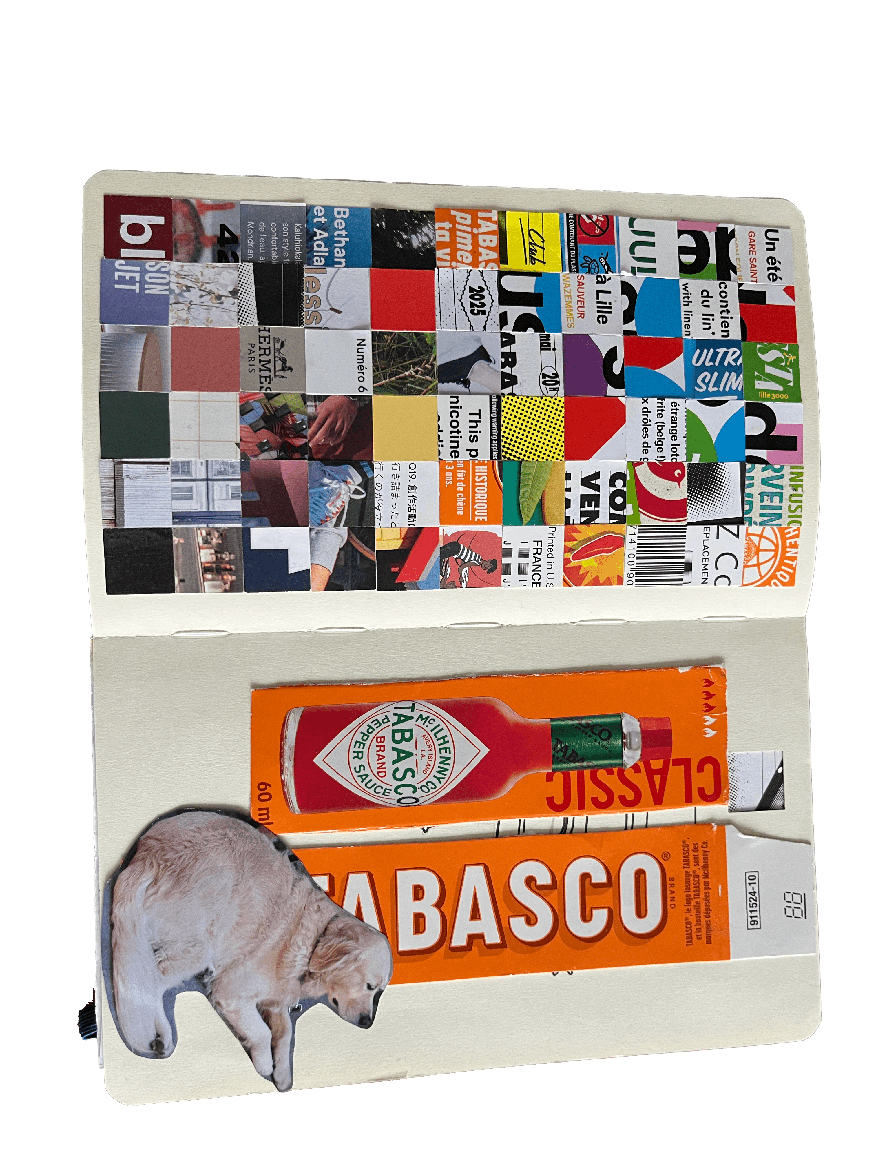 Exploration visuelle montrant variation de formes et contrastes visuels.