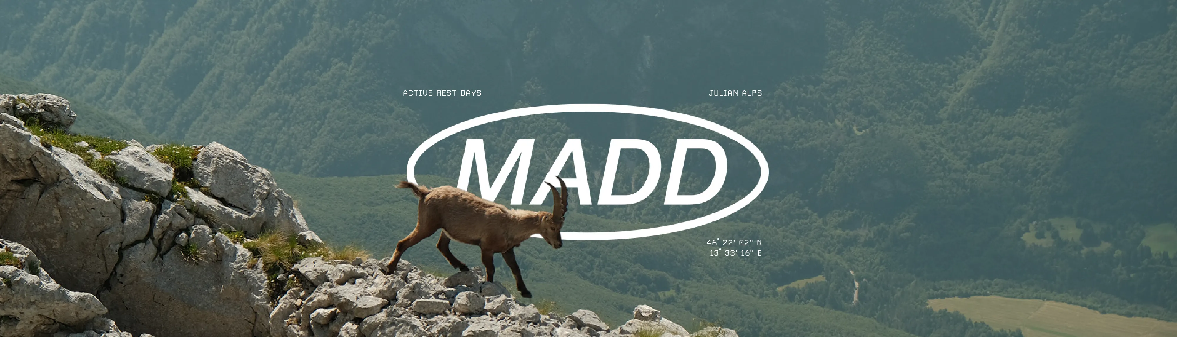A photo of a mountain goat, on the edge of a mountain with an overlaid MADD logo badge 