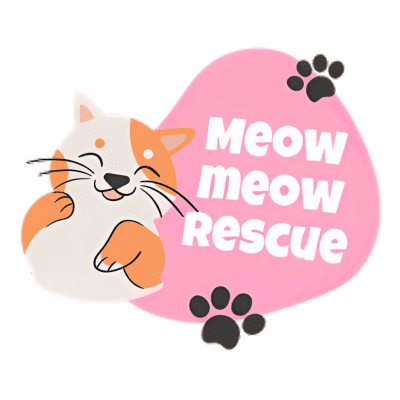 Meow Meow Rescue