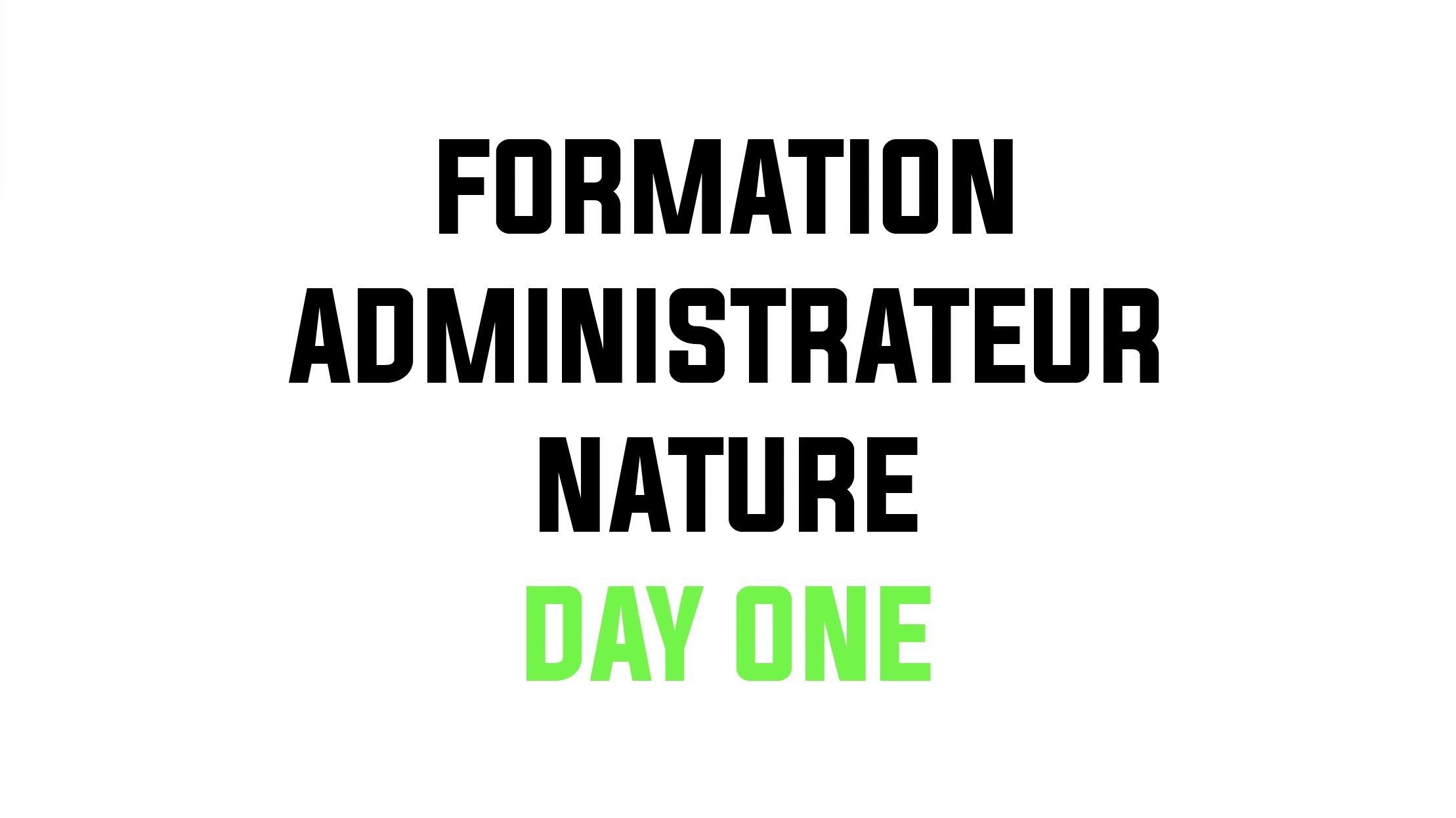 Close-up of lush, dark green leaves, some glossy and wet, against a muted background.