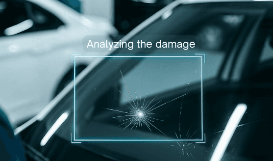 vidar ai assessment
