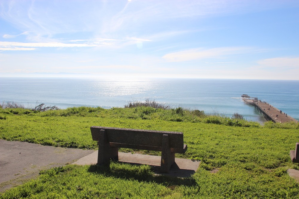 park bench on lawn overlooking Monterey Bay at a park in Aptos CA