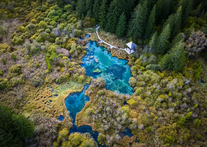 Aerial view of vibrant turquoise water surrounded by lush green trees and autumn-colored foliage at Zelenci water spring, Slovenia.
