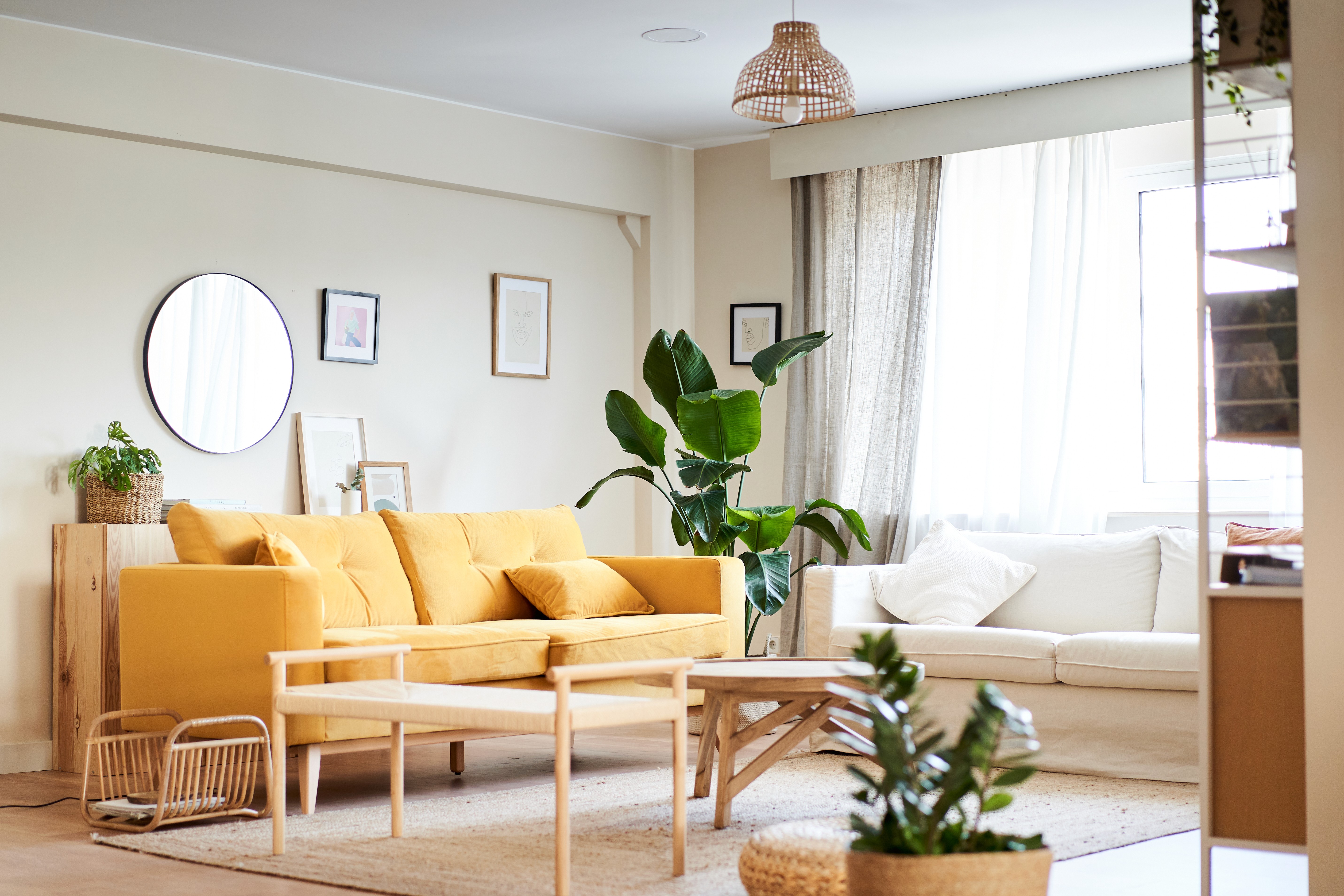 A smiling man with curly hair is sitting at a desk, looking at the camera, with a laptop and a lamp in the background.