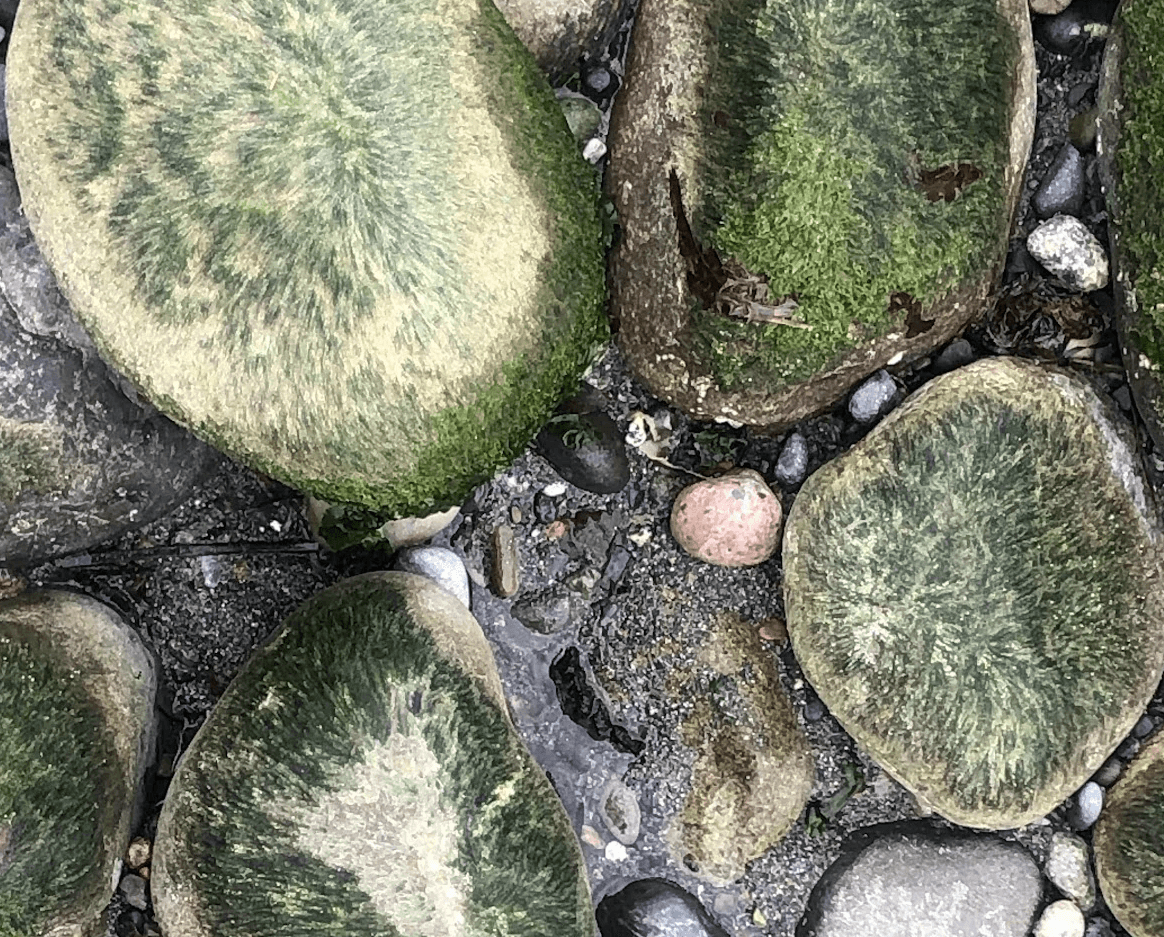 Black and white image of people working at a table with laptops, showing hands gesturing during discussion of digital content displayed on screens, with fabrica® logo in the corner.