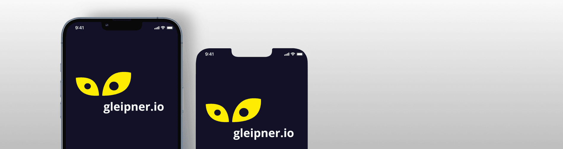Mobile interface of GLEIPNER platform providing access to g-bridge for converting ETH to the Gleipner network