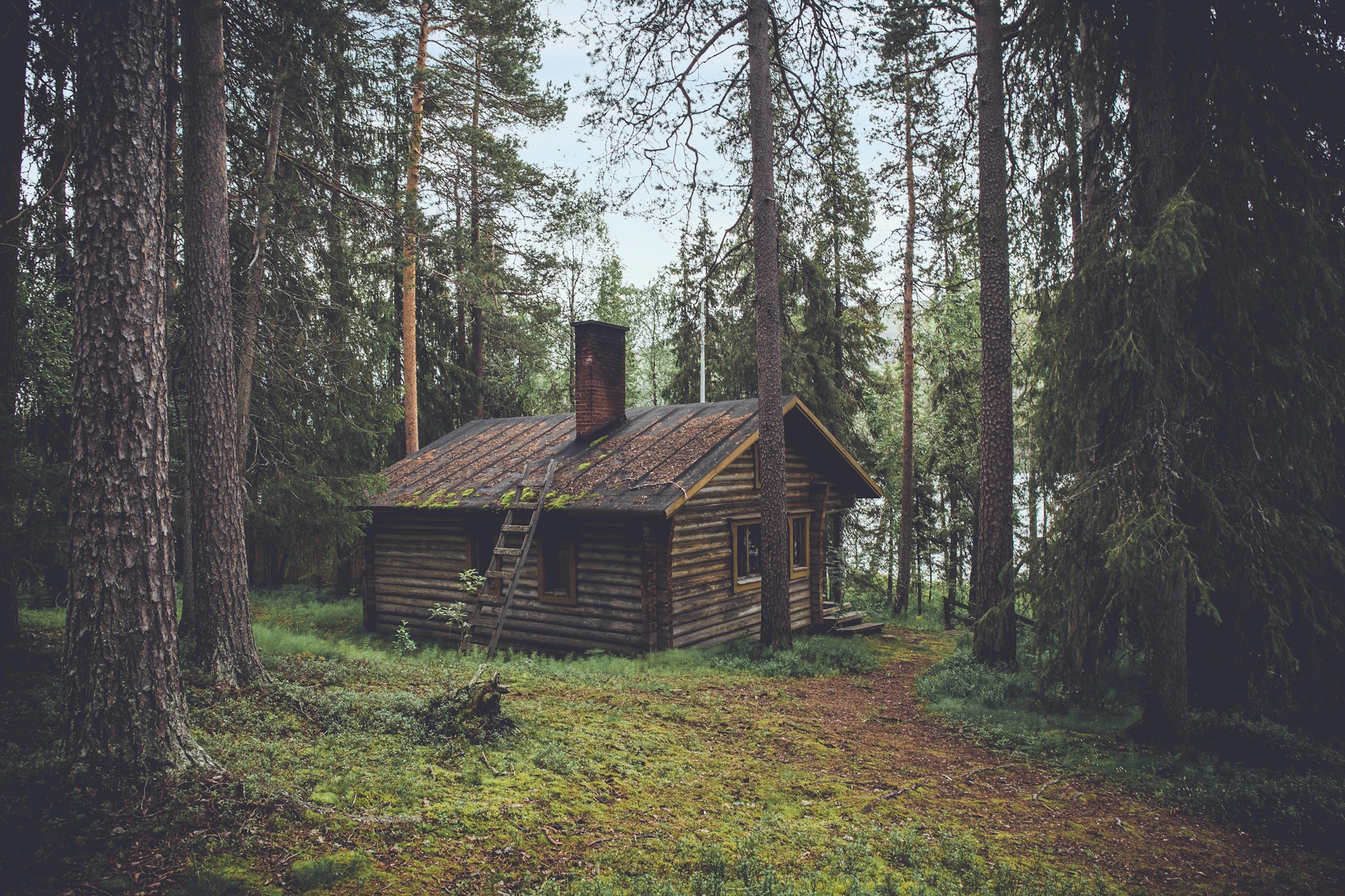 Illustrative reference photography — not an operating Ancestro project