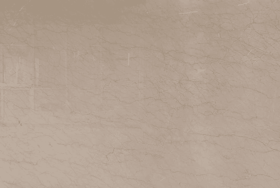 Shell Beige