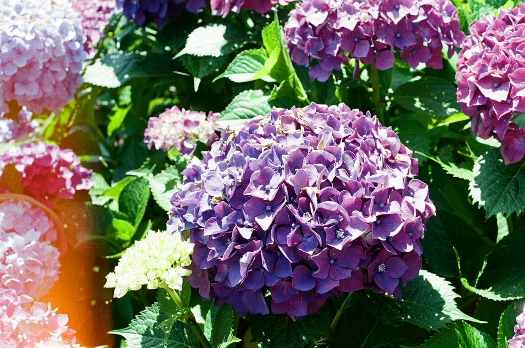 a pair of cell phones on a concrete block