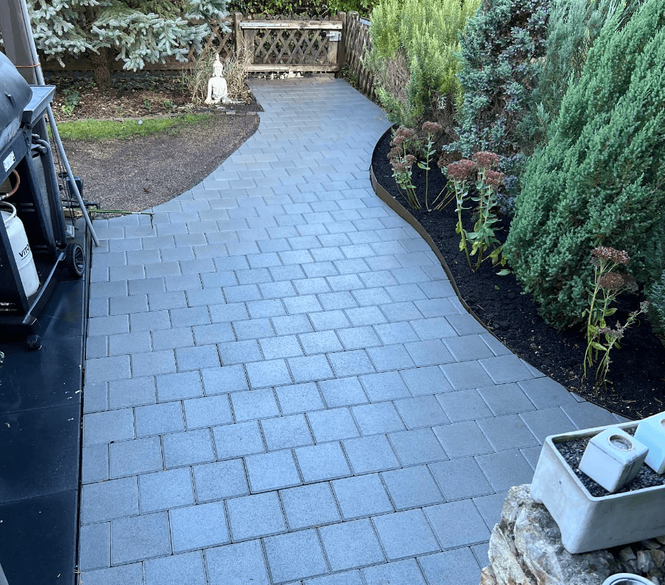 purple petaled flowers