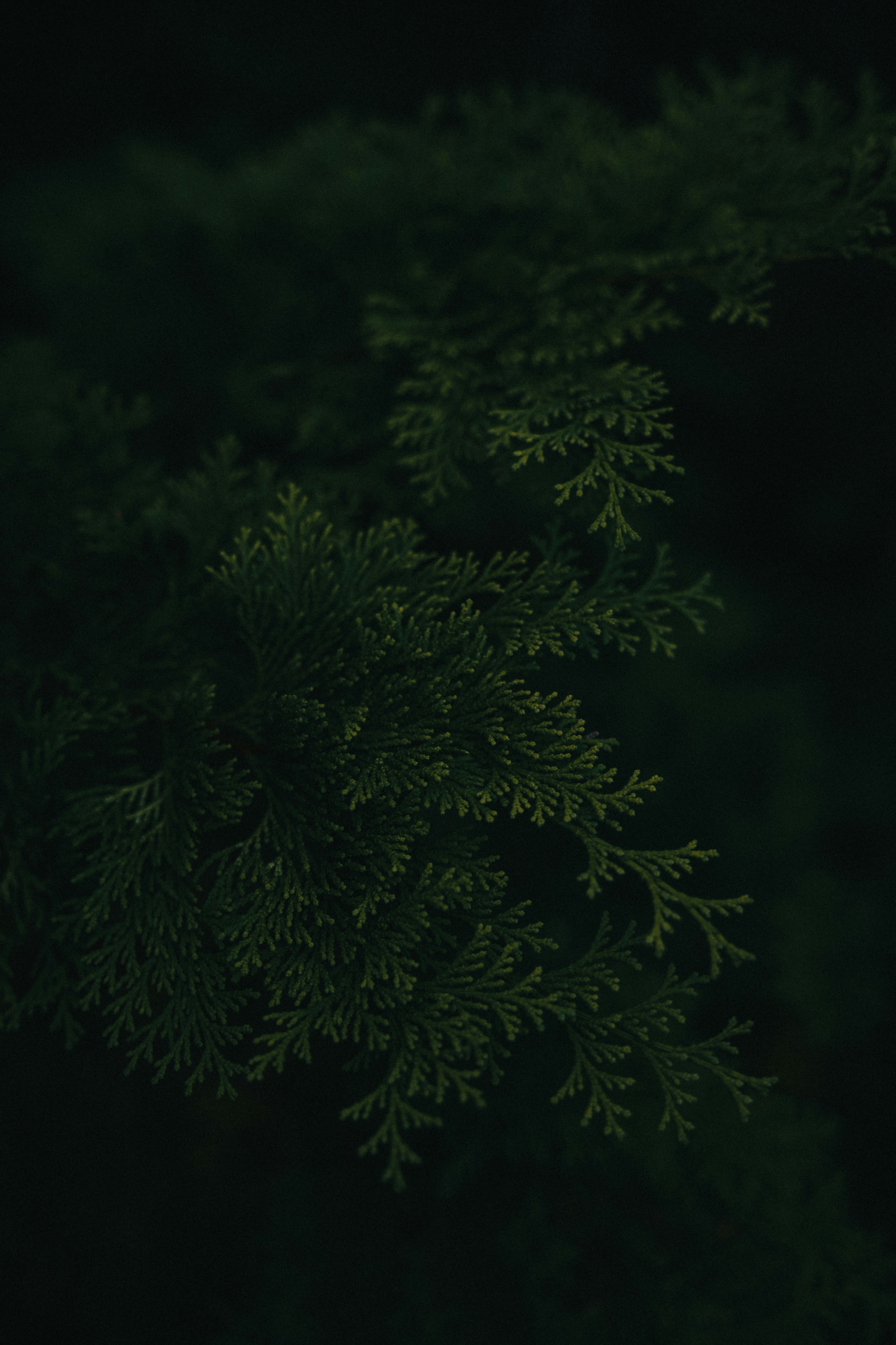 Abstract perspective view of two parallel walls with glowing lines, creating a futuristic and geometric effect.