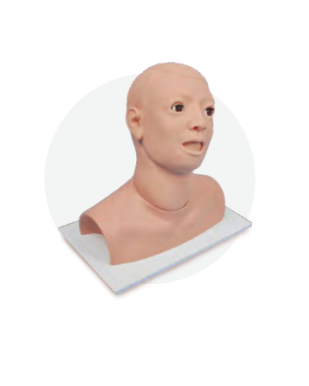 Ear Irrigation Model