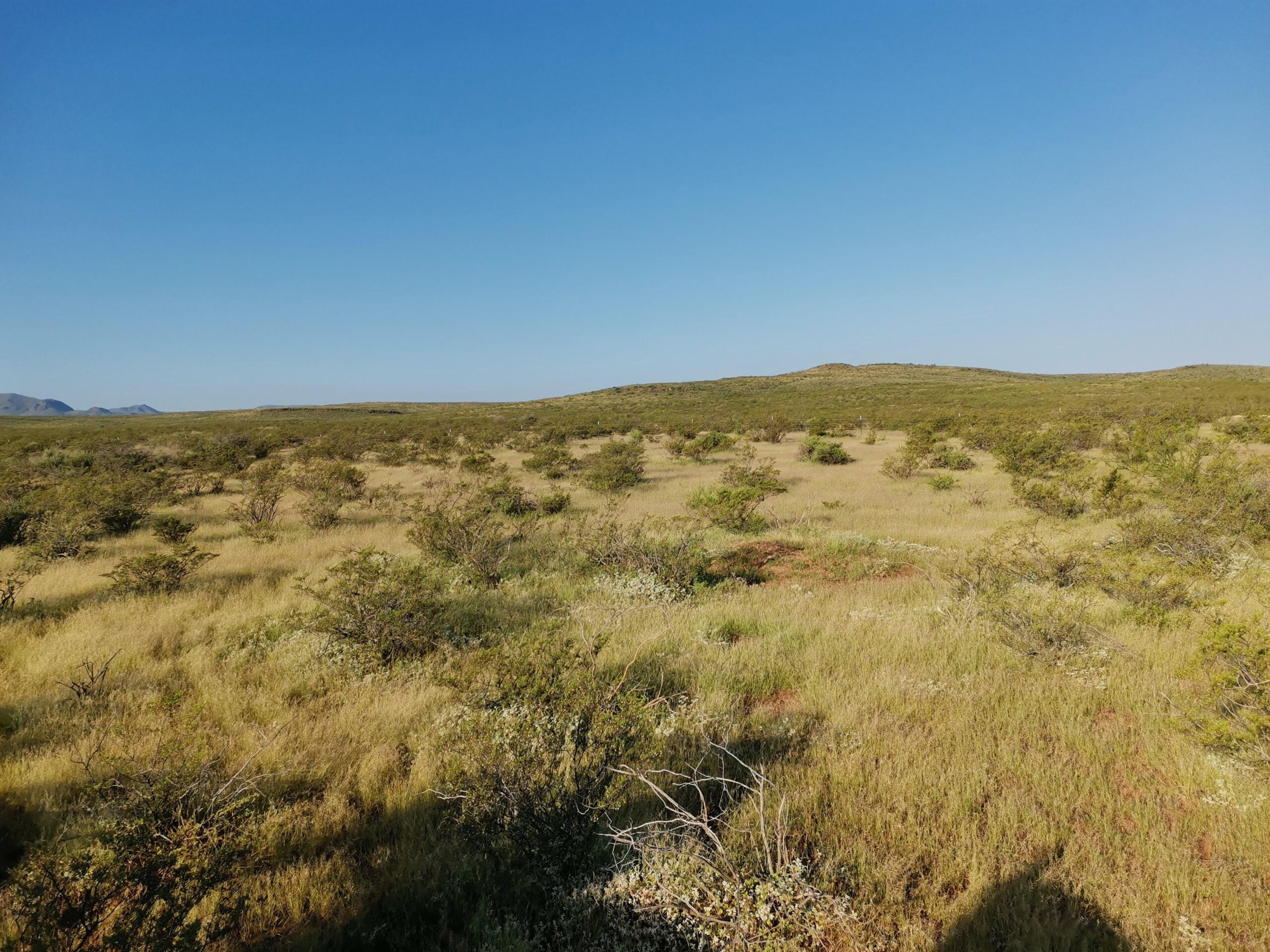 Cyber Rhythms_ The Dynamic Dancer