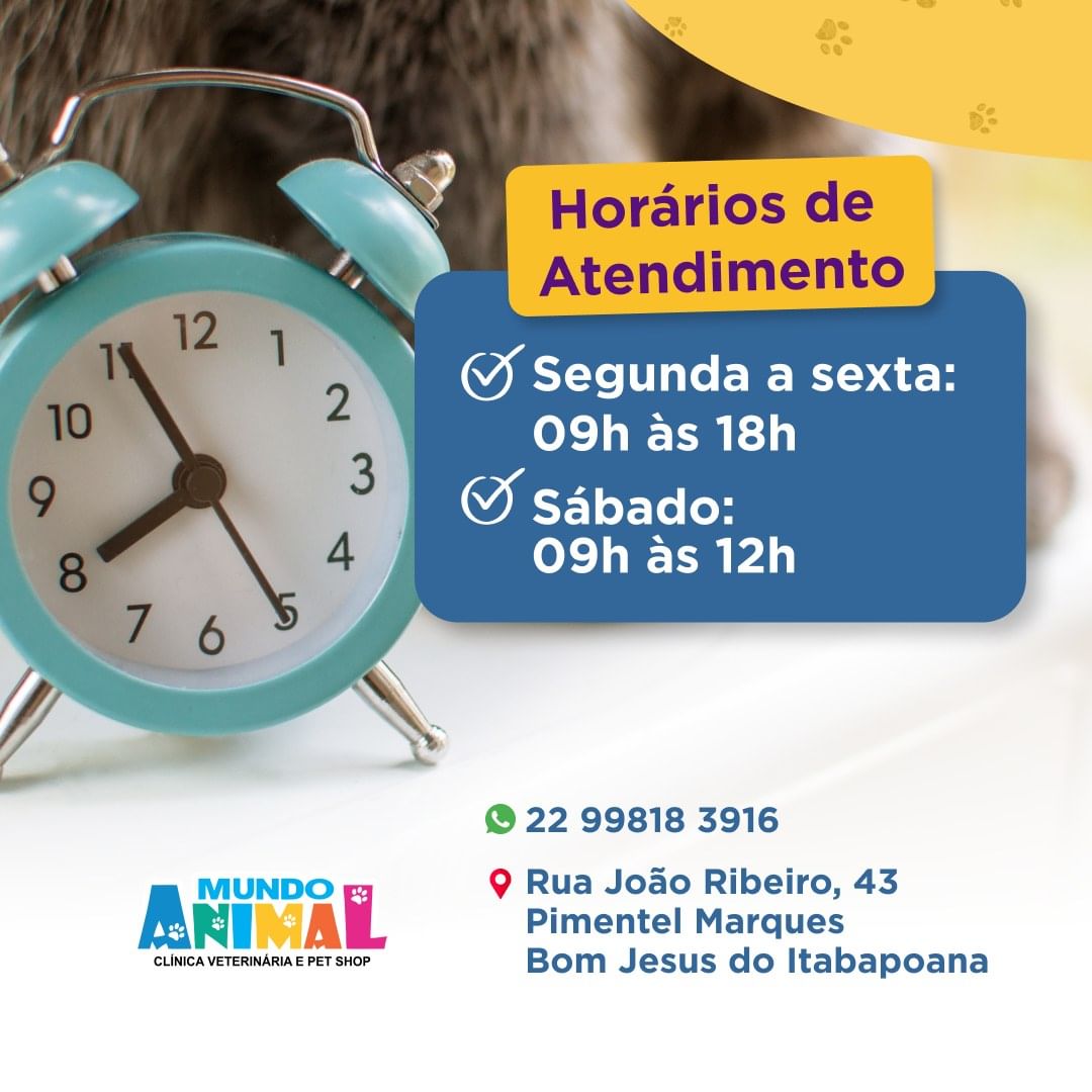 Horário de atendimento da clínica veterinária e pet shop em Bom Jesus do Itabapoana, com a Dra Livia Jacomine atendendo de segunda a sábado para consultas e serviços veterinários