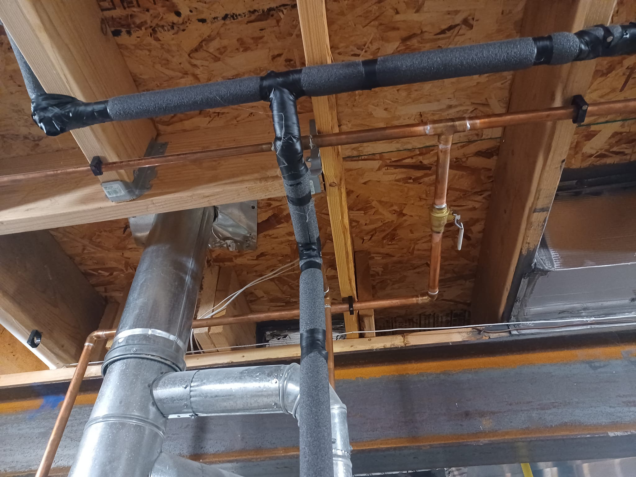 a red fire hydrant sitting next to a green bucket