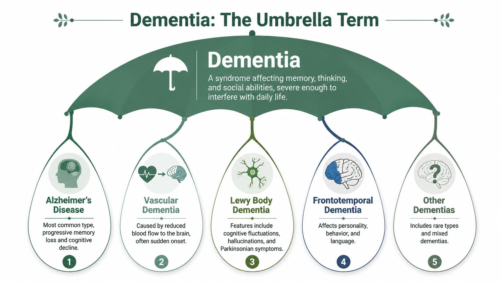 An infographic titled Dementia: The Umbrella Term, detailing five types of dementia including Alzheimer's disease.