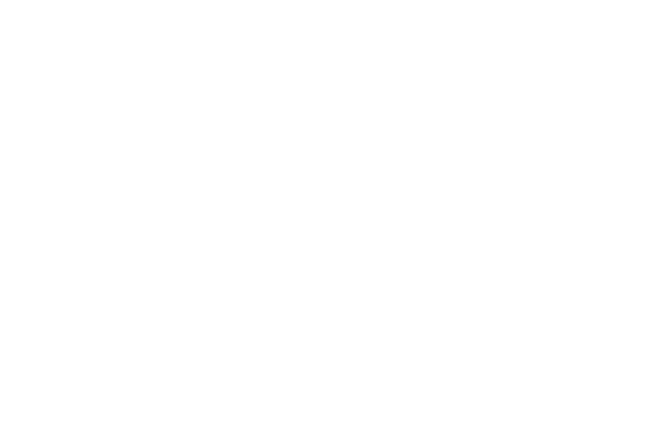 Logo for an imagined company