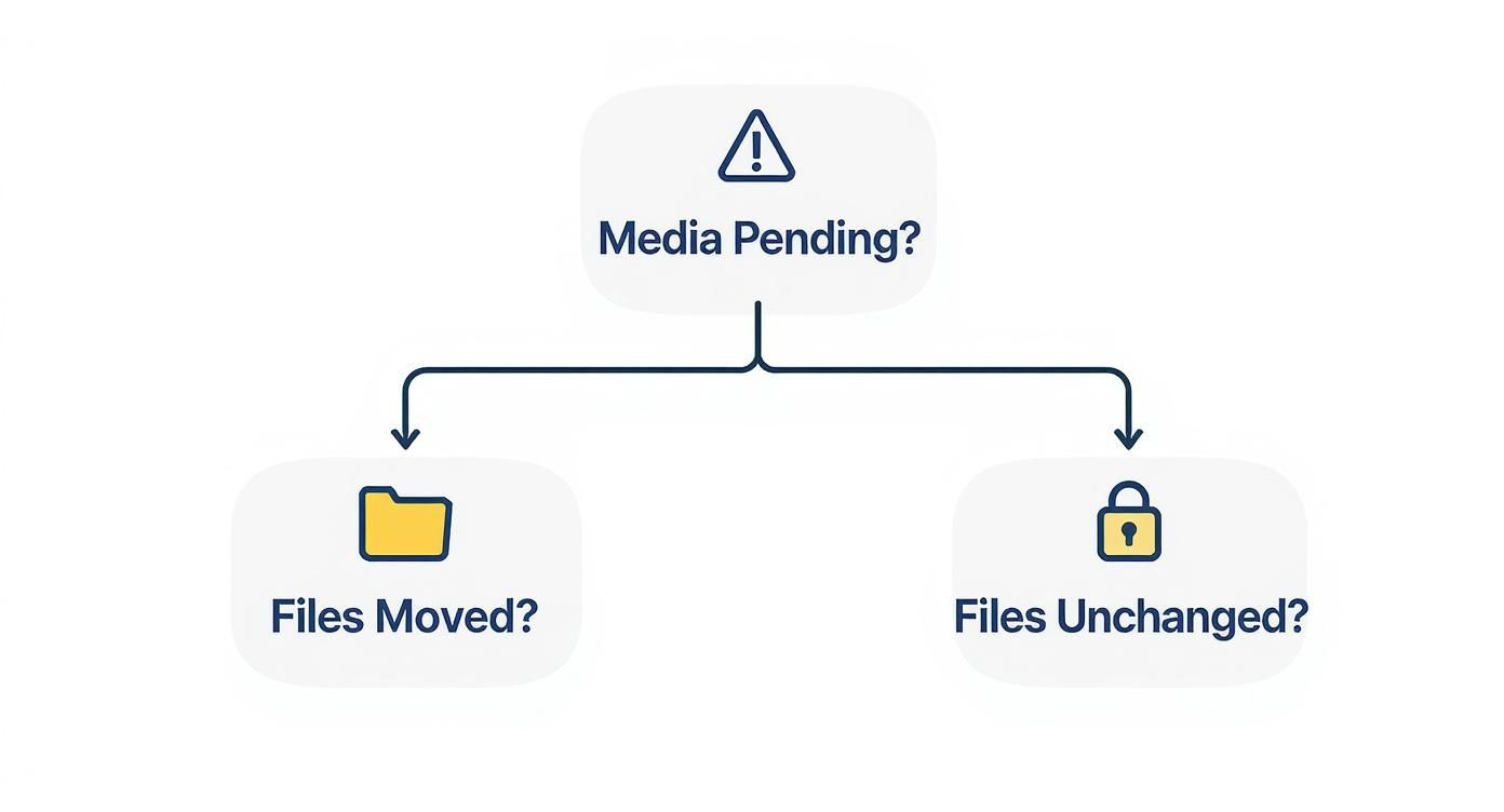 Infographic about media pending premiere