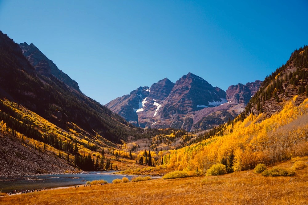 Aspen trees and mountain landscape in warm sunlight