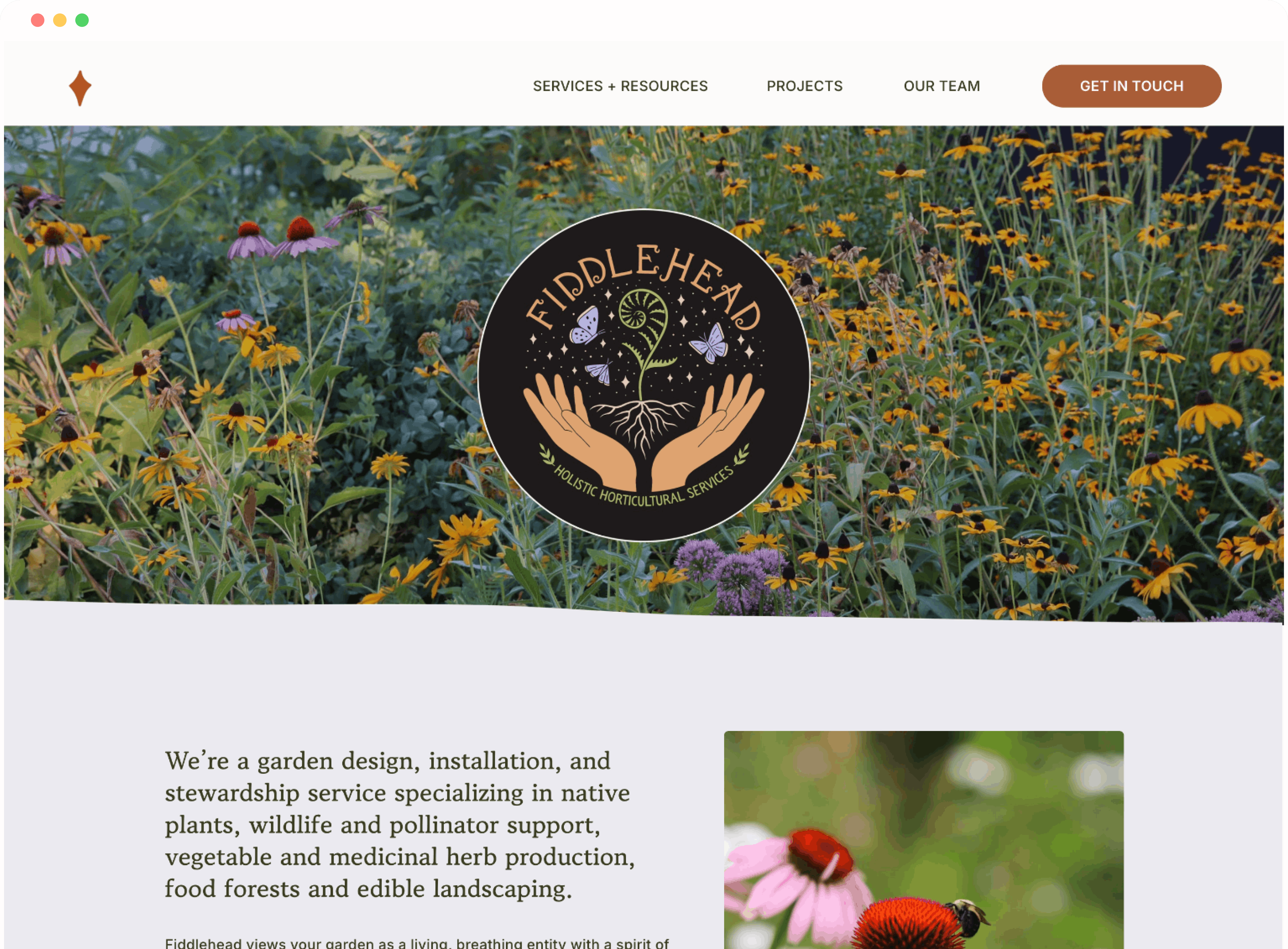 Preview of the Fiddlehead Holistic website
