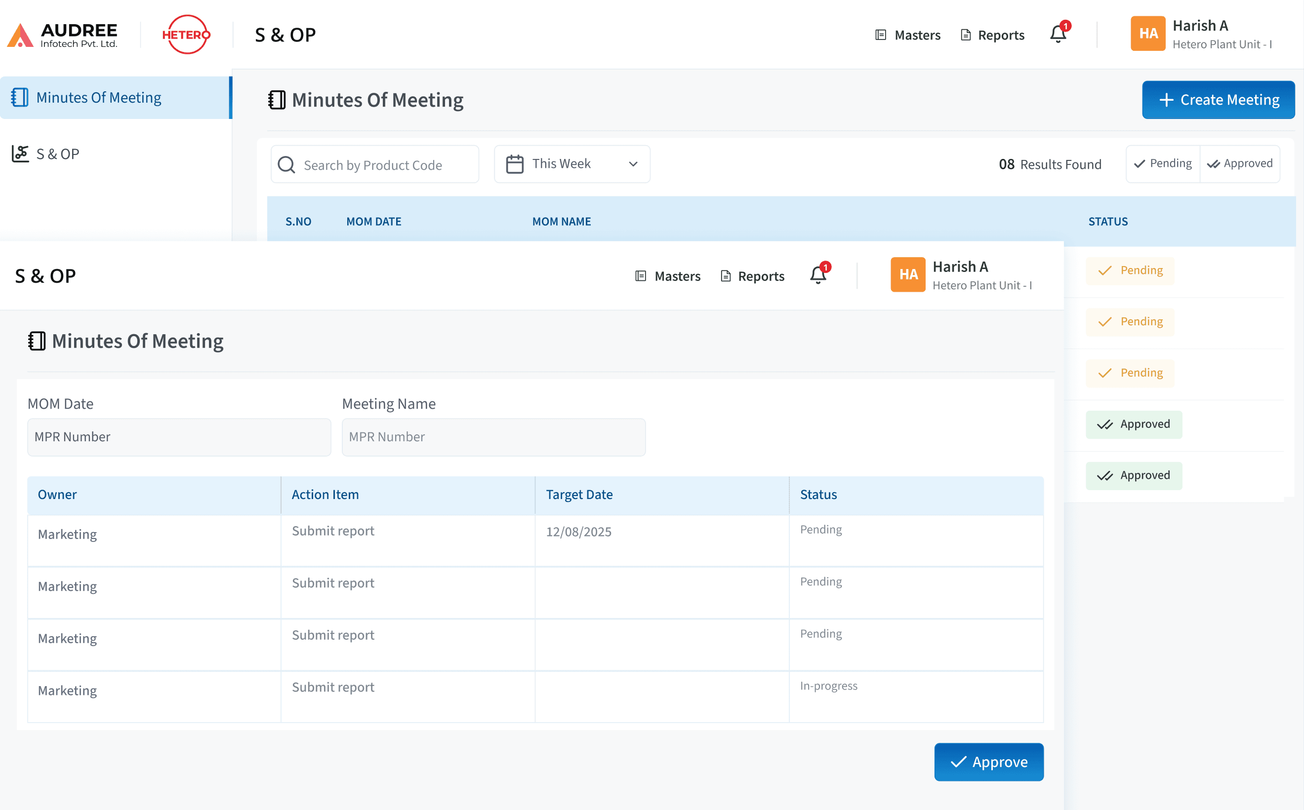 S&OP Minuteds of Meeting Screen