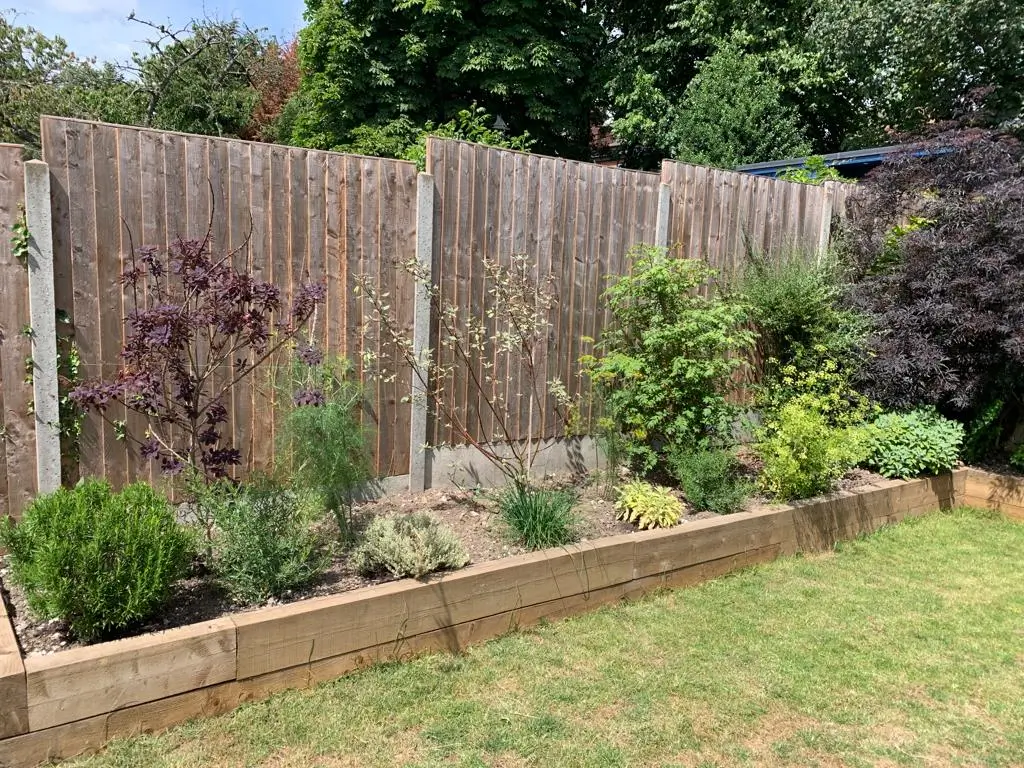 A garden bed lined with various green plants against a wooden fence, with a grassy area in front.