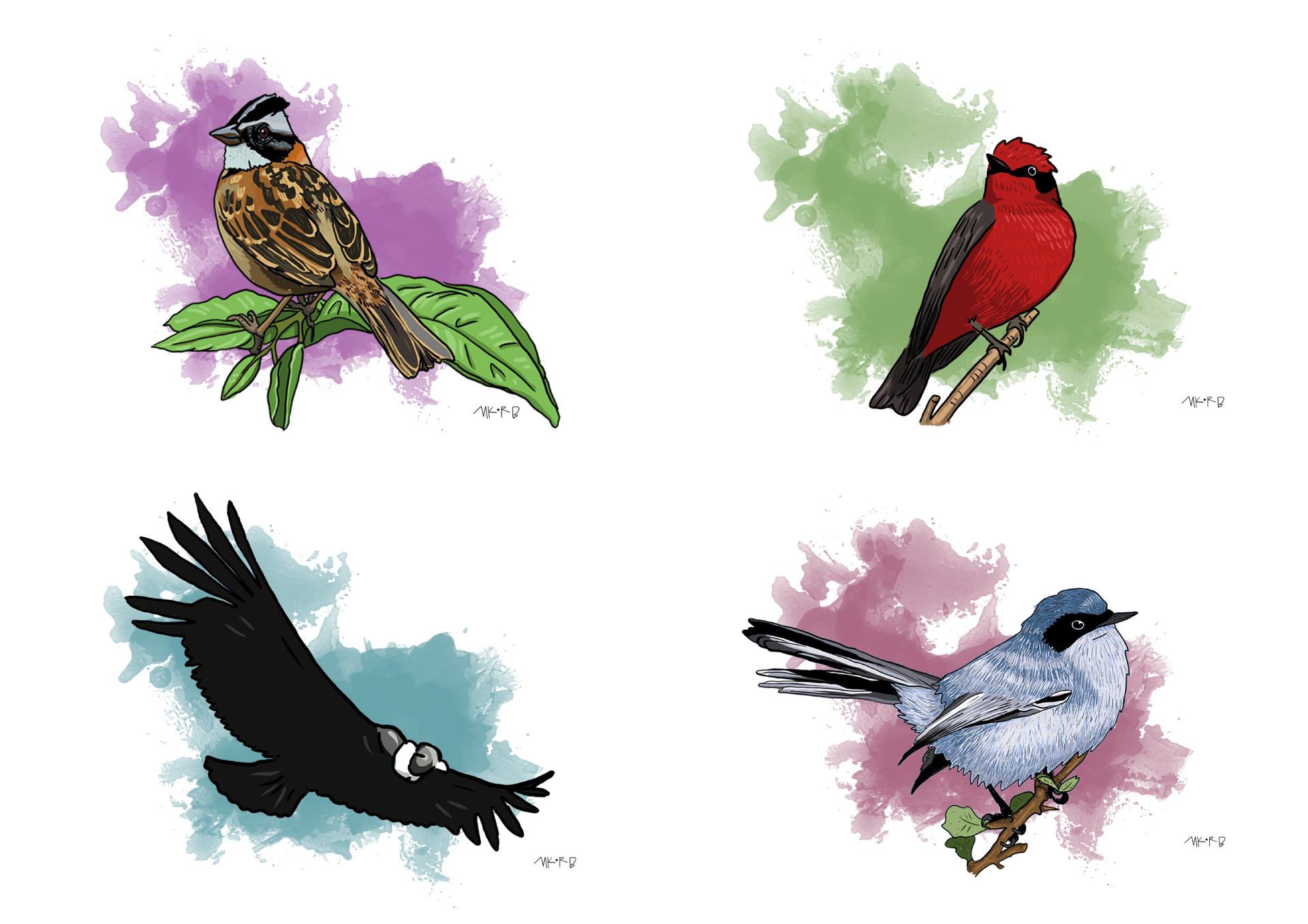 Ilustracion de dos pájaros posados sobre ramas