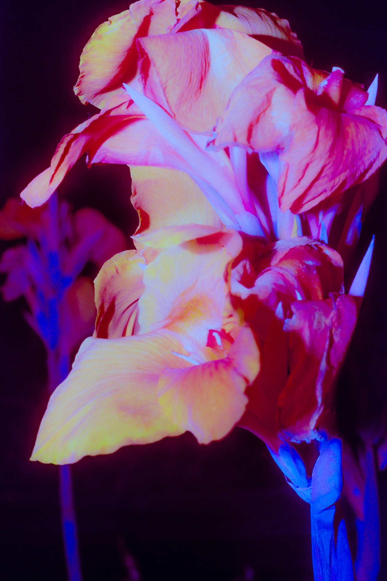 Taisei Matsumoto, 2023 exhibition work 013